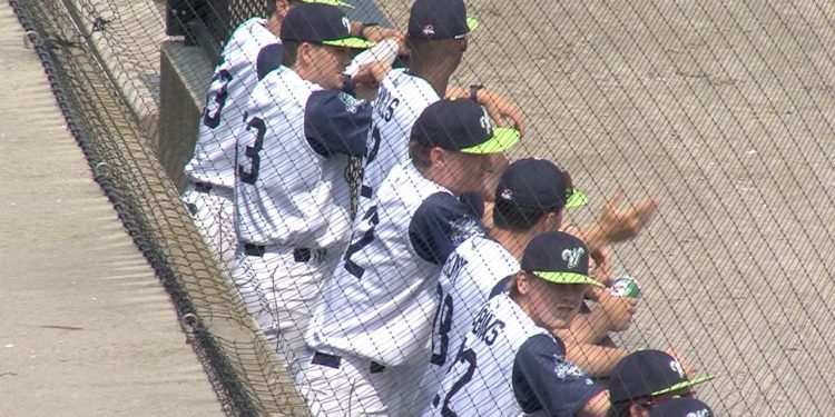 team-chemistry-key-to-early-success-for-worcester-bravehearts-–-spectrum-news