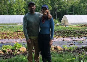 in-the-field-–-creaking-tree-farm-in-lutsen-–-wtip