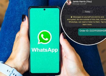 whatsapp's-hidden-contact-feature-revealed-—-here's-how-to-use-it-–-new-york-post