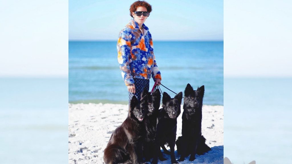 what-did-the-dog-daddy-do?-instagram-video-controversy-explained-as-youtuber-issues-apology
