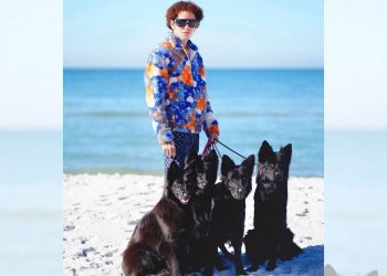 what-did-the-dog-daddy-do?-instagram-video-controversy-explained-as-youtuber-issues-apology