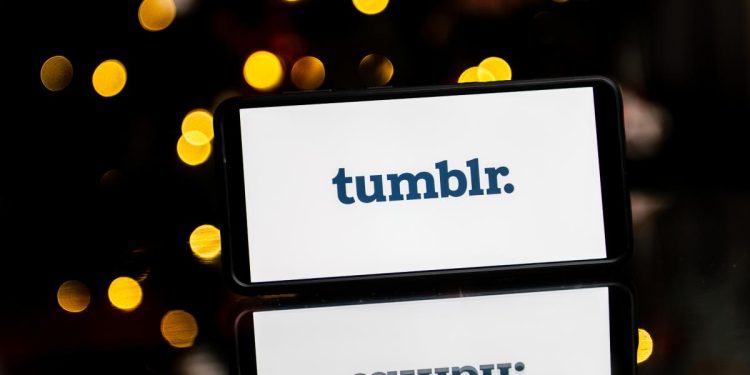 tumblr's-building-a-tiktok-inspired-feed-in-bid-to-grow-its-user-base-|-engadget