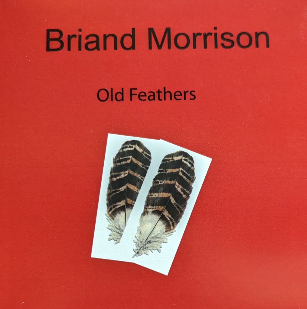 briand-morrison-new-album-“old-feathers”-release-party-july-14-–-wtip