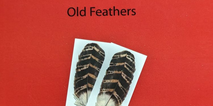 briand-morrison-new-album-“old-feathers”-release-party-july-14-–-wtip