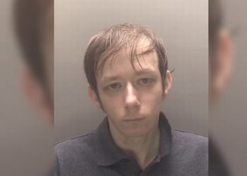 paedophile-ring-brought-down-by-dog-after-whatsapp-message-–-liverpool-echo