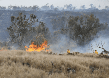 07/13/23-–-recent-wildfires-following-drought-conditions-across-hawai'i