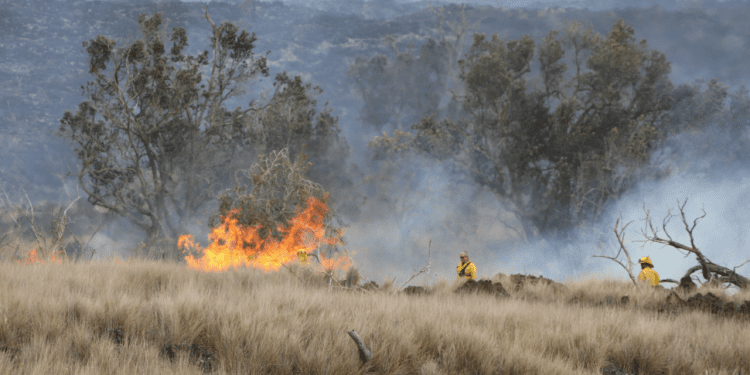 07/13/23-–-recent-wildfires-following-drought-conditions-across-hawai'i