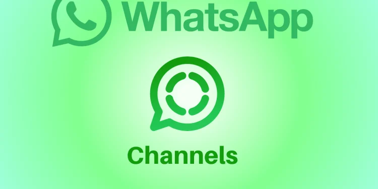 be-the-first-to-know:-whatsapp-launches-channel-update-alerts-–-gizchina.com