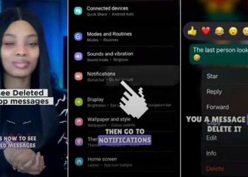 “i-have-confirmed-it”:-lady-exposes-trick-to-see-deleted-messages-on-whatsapp,-video-…