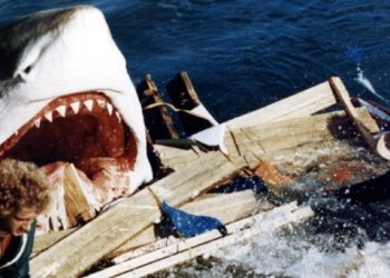 join-us-thursday,-july-28th-at-8pm-est-for-the-last-shark-(aka-great-white)-twitch-…