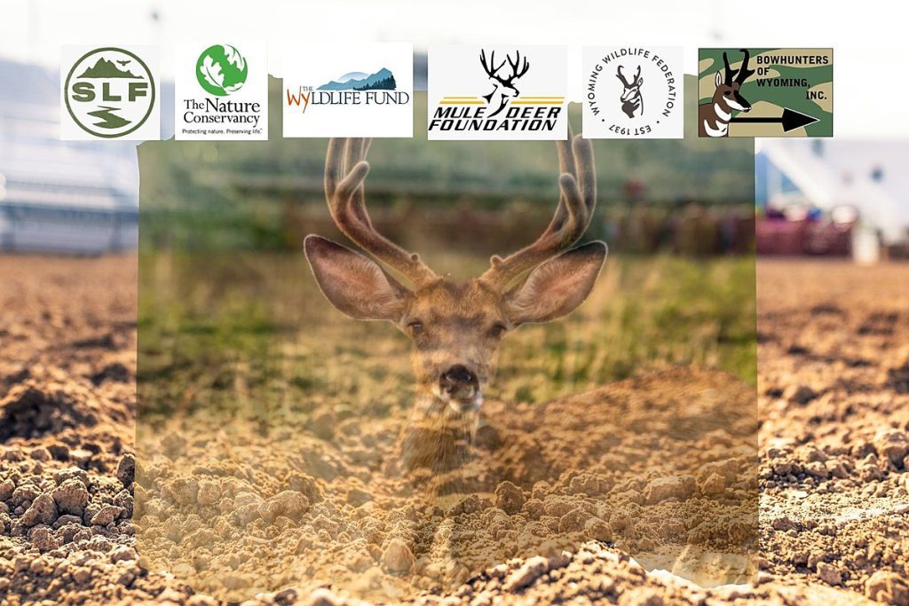 win-awesome-prizes-and-help-mule-deer-foundation-at-cfd-–-k2-radio