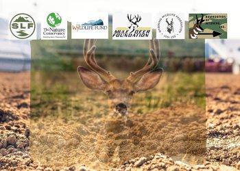 win-awesome-prizes-and-help-mule-deer-foundation-at-cfd-–-k2-radio