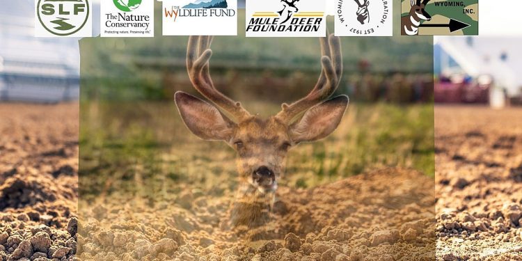 win-awesome-prizes-and-help-mule-deer-foundation-at-cfd-–-k2-radio
