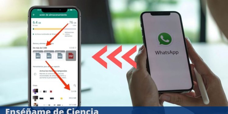 secret-whatsapp-button-to-free-up-space-without-losing-files-–-ensename-de-ciencia