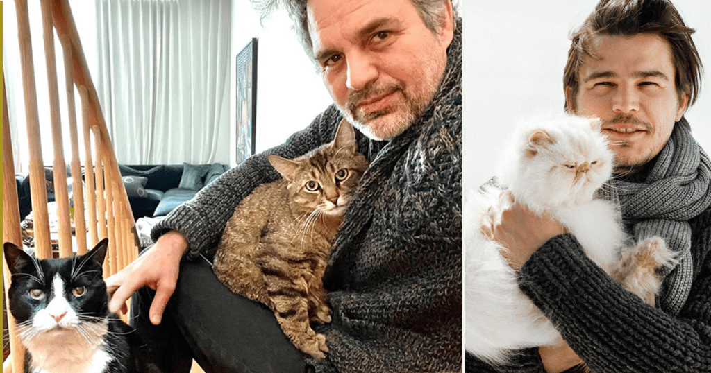 destress-with-cat-dad-therapy-featuring-a-few-famous-cat-dads-–-cole-&-marmalade