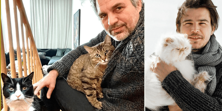 destress-with-cat-dad-therapy-featuring-a-few-famous-cat-dads-–-cole-&-marmalade