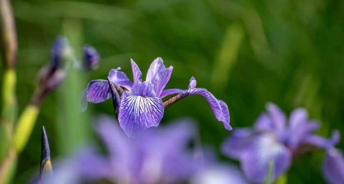 july-observations-with-larry-weber-–-wtip