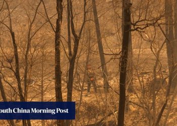 justin-trudeau-slams-meta-for-blocking-news-on-facebook-and-instagram-as-wildfires-rage-…