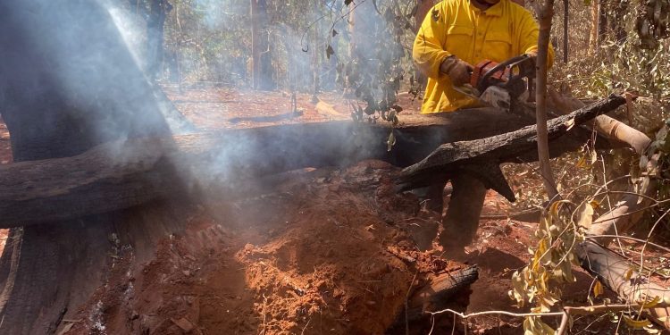 08/19/23-upcountry-complex-fire-–-olinda-section,-maui