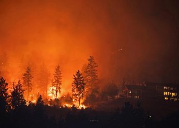 canada-pm-justin-trudeau-slams-facebook-for-blocking-canada-wildfire-news-–-the-hindu