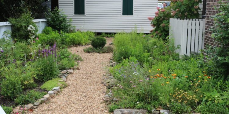 william-root-house-features-craft-beers-brewed-with-heritage-ingredients