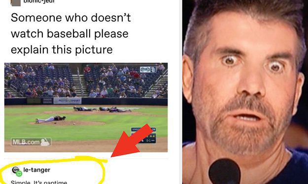 32-times-total-strangers-on-the-internet-totally,-completely,-100%-nailed-their-response-…