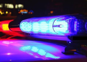auburn-man-arrested-after-dog-abuse-shared-on-facebook