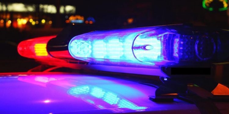 auburn-man-arrested-after-dog-abuse-shared-on-facebook