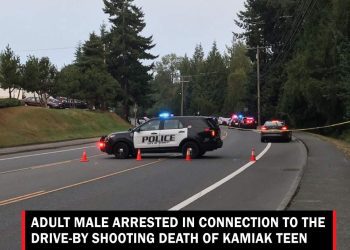 arrest-made-in-drive-by-shooting-death-of-kamiak-teen-–-lynnwood-times