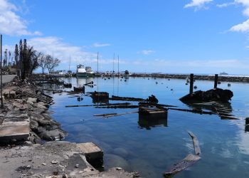 09/12/23-owners-of-largely-undamaged-vessels-visit-lahaina-small-boat-harbor