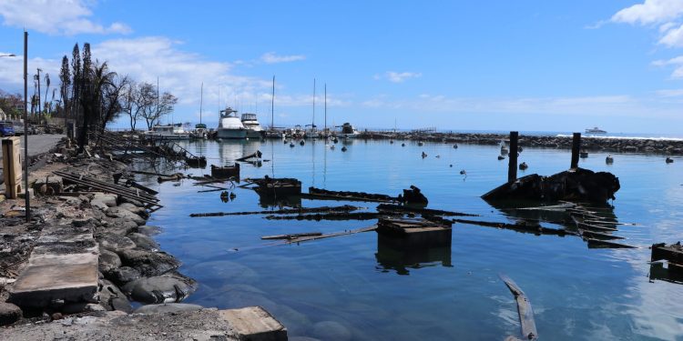 09/12/23-owners-of-largely-undamaged-vessels-visit-lahaina-small-boat-harbor