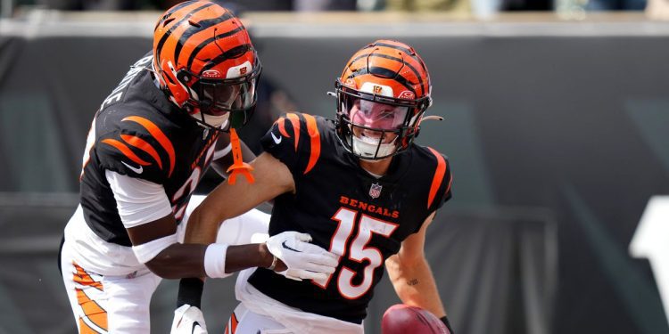 twitter-reactions-to-the-bengals'-disappointing-loss-to-the-ravens-–-cincy-jungle