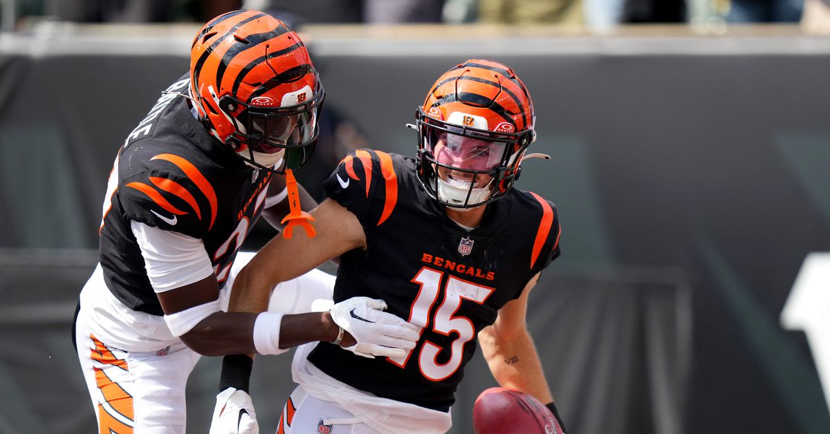 twitter-reactions-to-the-bengals'-disappointing-loss-to-the-ravens-–-cincy-jungle