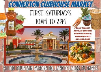 connerton-clubhouse-artisanal-market-|-land-o'-lakes,-fl-patch