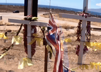 9/20/23-aloha-'oe-for-maui-–-department-of-land-and-natural-resources-–-hawaii.gov