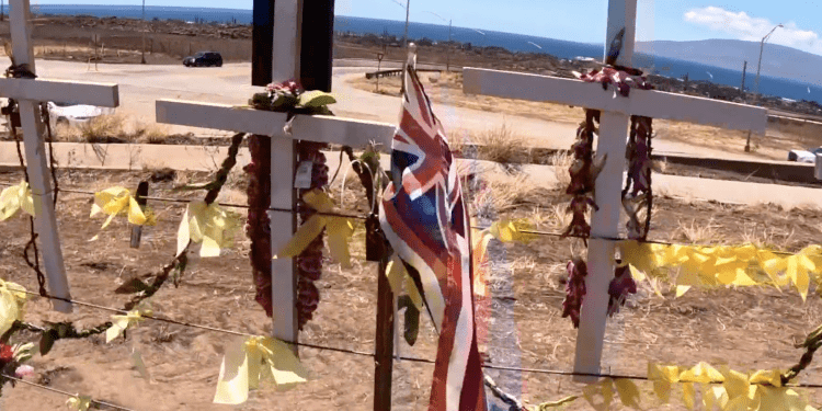 9/20/23-aloha-'oe-for-maui-–-department-of-land-and-natural-resources-–-hawaii.gov