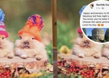norfolk-county-council-anniversary-facebook-post-blunder-–-eastern-daily-press
