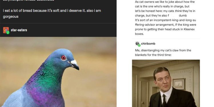 25-humorous-tumblr-posts,-jokes-and-memes-anyone-can-enjoy