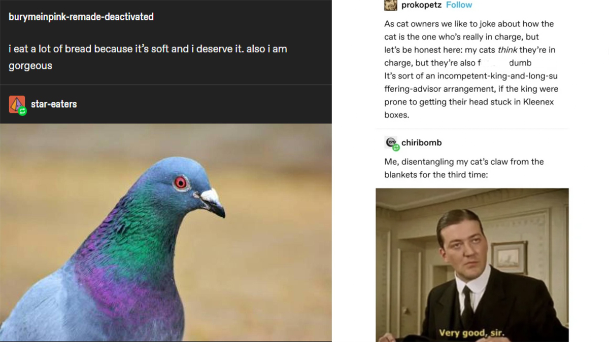 25-humorous-tumblr-posts,-jokes-and-memes-anyone-can-enjoy