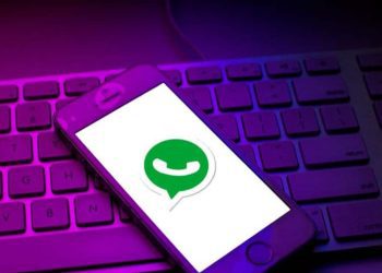 whatsapp-working-on-search-feature-for-updates-tab?-here's-what-we-know