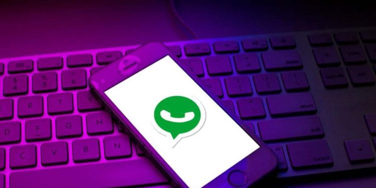 whatsapp-working-on-search-feature-for-updates-tab?-here's-what-we-know