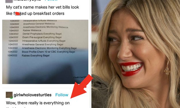 22-times-total-strangers-on-the-internet-came-completely-out-of-nowhere-with-the-…-–-yahoo