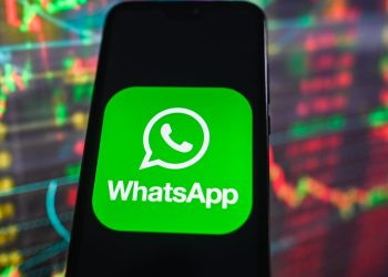 connect-with-the-daily-beast-on-whatsapp