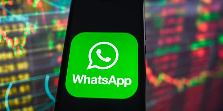connect-with-the-daily-beast-on-whatsapp