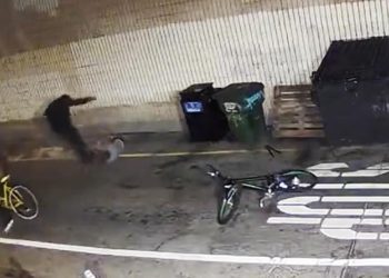 youtube-suspended-the-lapd's-account-over-a-violent-video-–-los-angeles-times