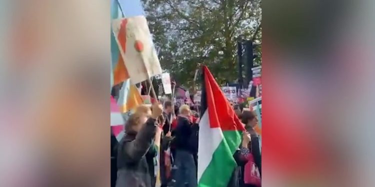 protesters-chant-'free-palestine'-through-london-in-demonstration-calling-for-ceasefire