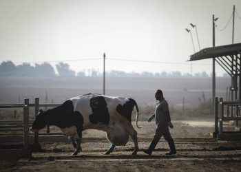 israeli-learns-grandmother-murdered-from-photo-hamas-terrorist-uploaded-to-her-facebook-–-jns.org