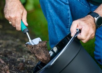 multi-county-southwest-texas-soil-testing-campaign-set-for-oct-16-nov.-2-–-agrilife-today
