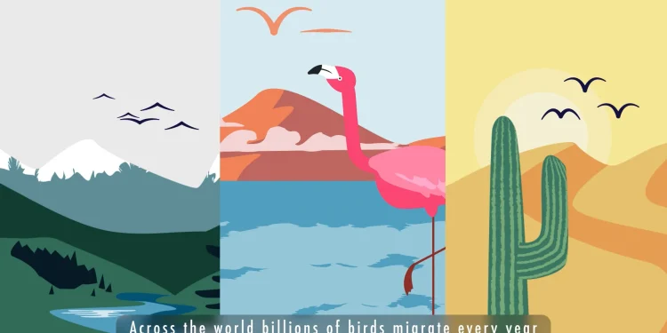 bli-flyways-animation-–-english-w-english-captions-on-vimeo