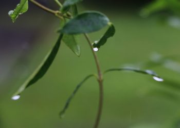 10/17/23-participate-in-the-“imagine-a-day-without-water”-event